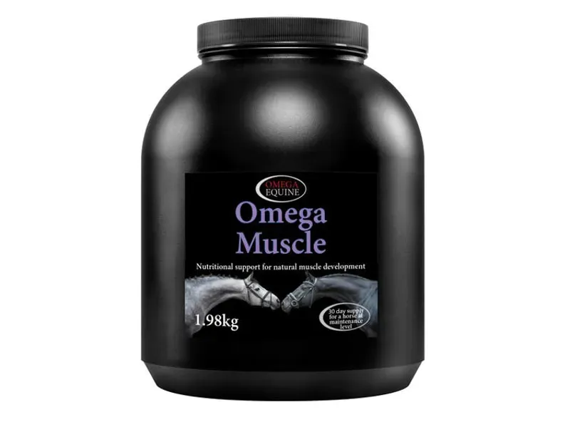 Omega Equine Muscle in Black