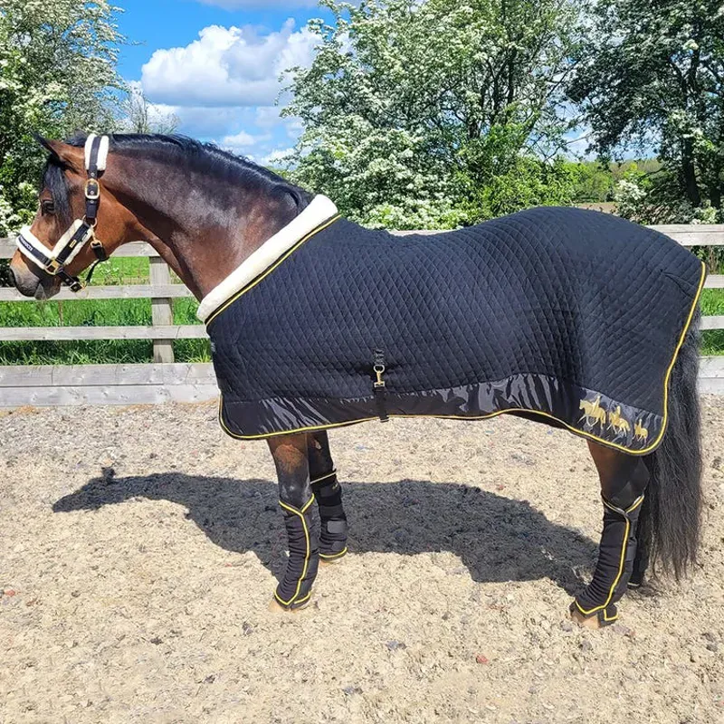 Supreme Products Royal Occasion Rug in Black