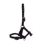 Hy Foal Head Collar in Black