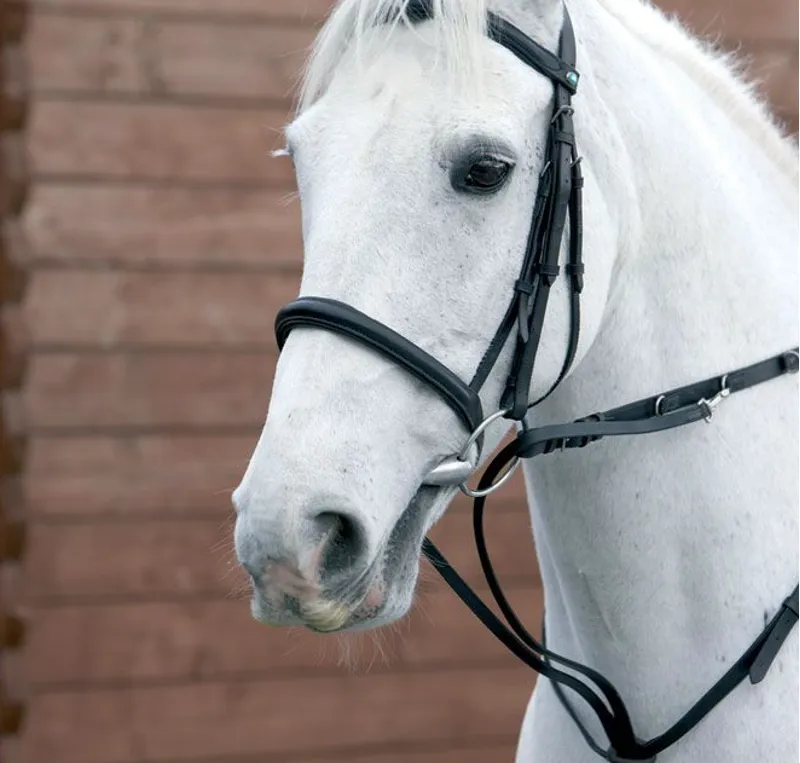 Hy Market Harborough in Black