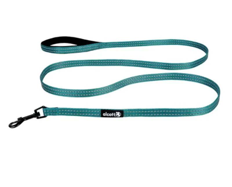 Taka Products Adventure Leash in Blue