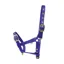 Hy Foal Head Collar in Blue