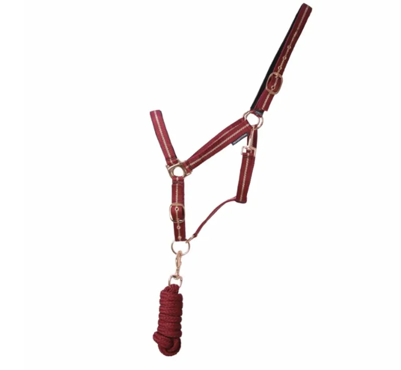 Hy Equestrian Rose Glitter Head Collar and Lead Rope Set in Burgundy