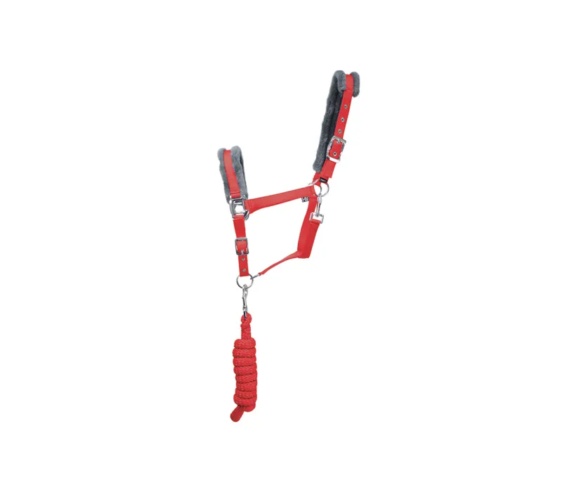 Hy Sport Active Head Collar and Lead Rope in Rosette Red