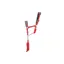 Hy Sport Active Head Collar and Lead Rope in Rosette Red