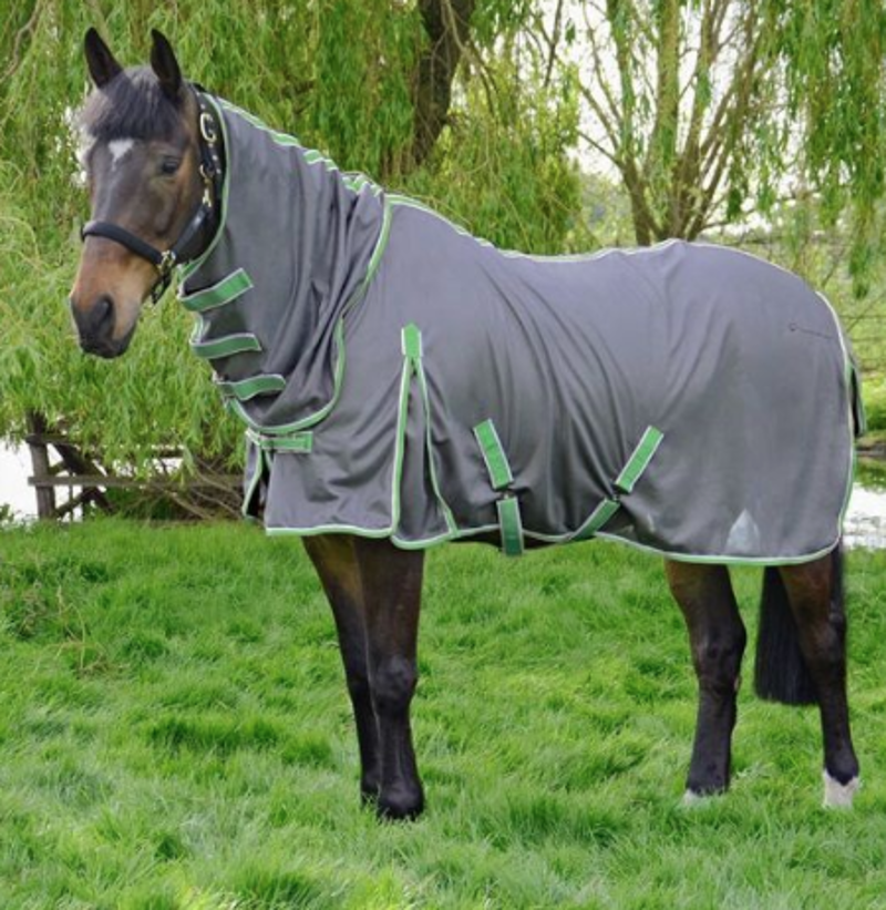 Hy Equestrian Protect Full Neck Fly Rug - - Charcoal Grey/Mint 4'6