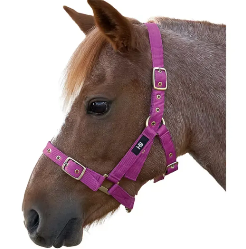 Hy Holly Fully Adjustable Head Collar in Pink