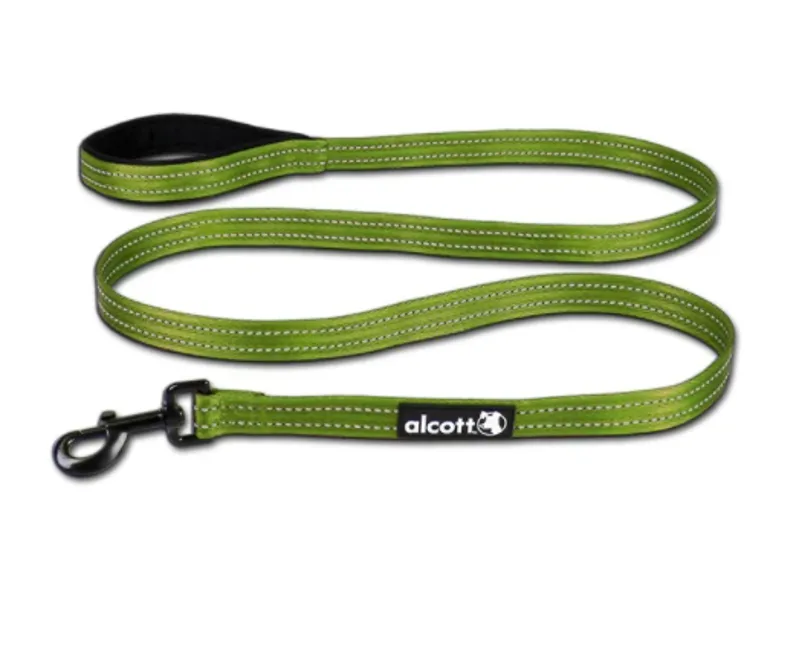 Taka Products Adventure Leash in Green
