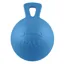 Horsemen's Pride 10-inch Jolly Ball in Blueberry Scented Blue