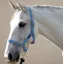 Hy Holly Fully Adjustable Head Collar in Baby Blue