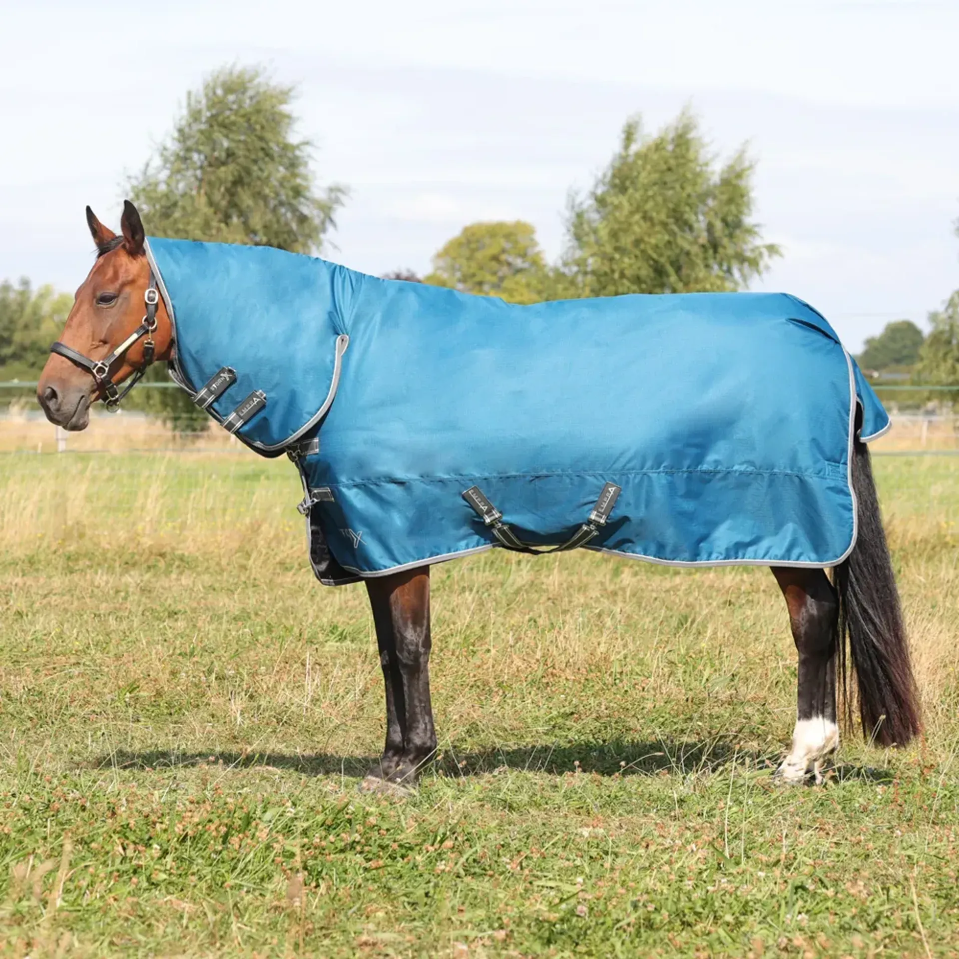 StormX Lightweight Turnout Rug