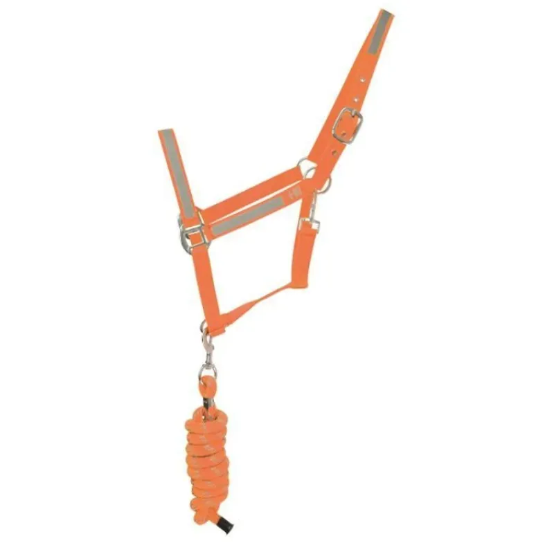 Hy Viz Reflector Head Collar and Lead Rope in Orange