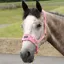 Supreme Products Dotty Fleece Head Collar and Lead Rope in Pretty Pink