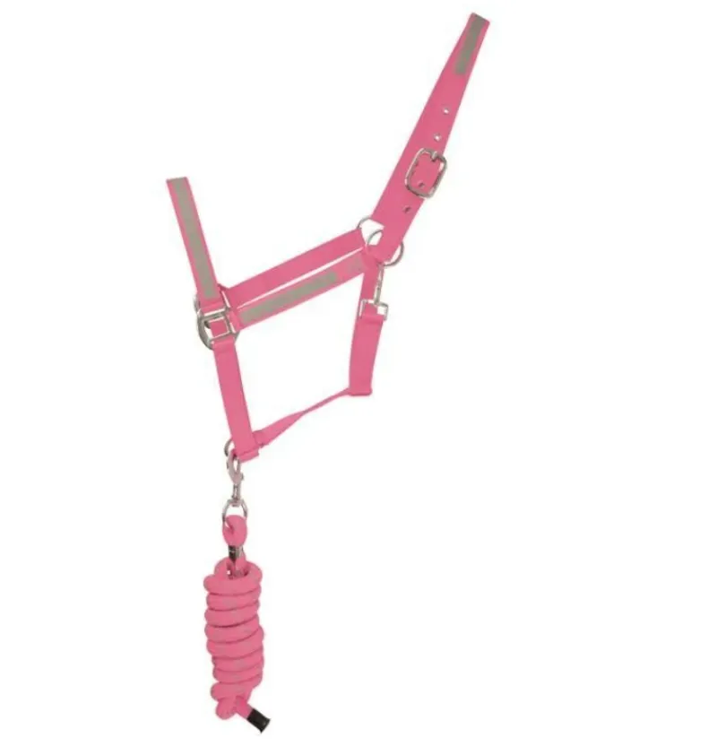 Hy Viz Reflector Head Collar and Lead Rope in Pink