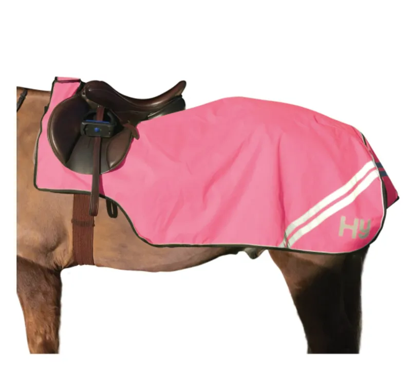 Hy Viz Reflector Exercise Sheet in Pink