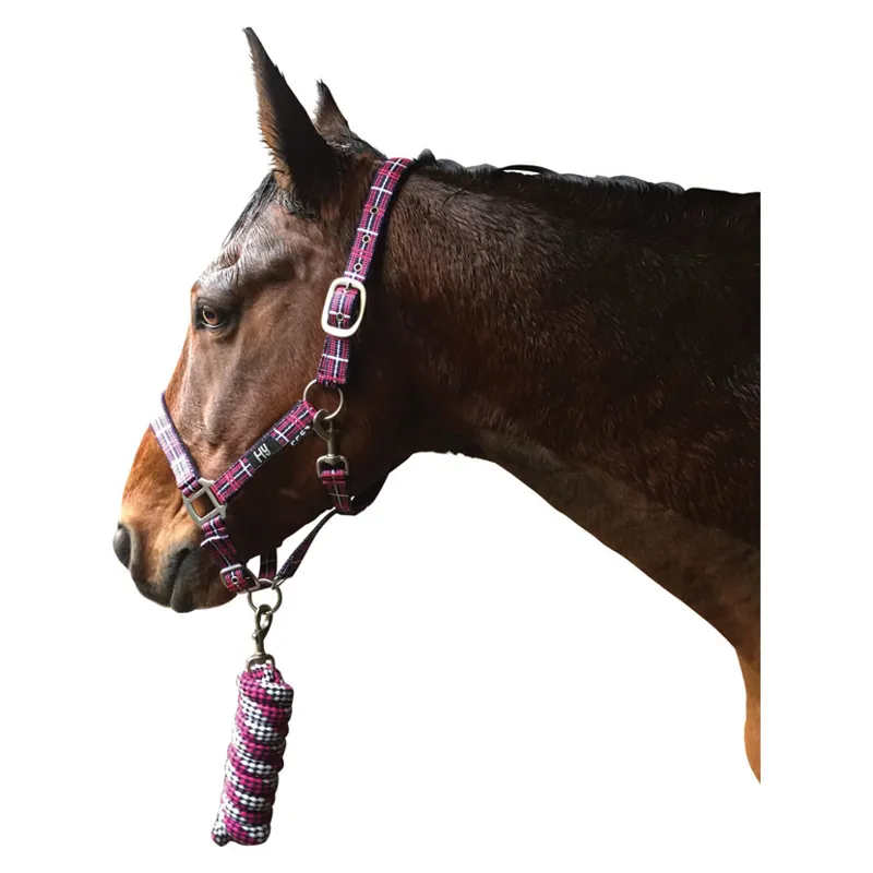 Hy Tartan Head Collar With Lead Rope in Raspberry/White/Navy