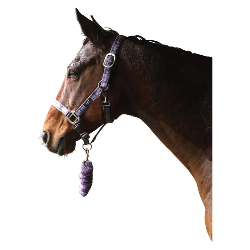 Hy Tartan Head Collar With Lead Rope in Purple/Grey/Lilac
