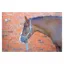 Hy Tartan Head Collar With Lead Rope in Pink/Navy/Kingfisher