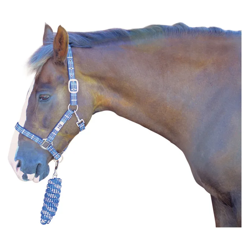 Hy Tartan Head Collar With Lead Rope in Navy/White/Blue