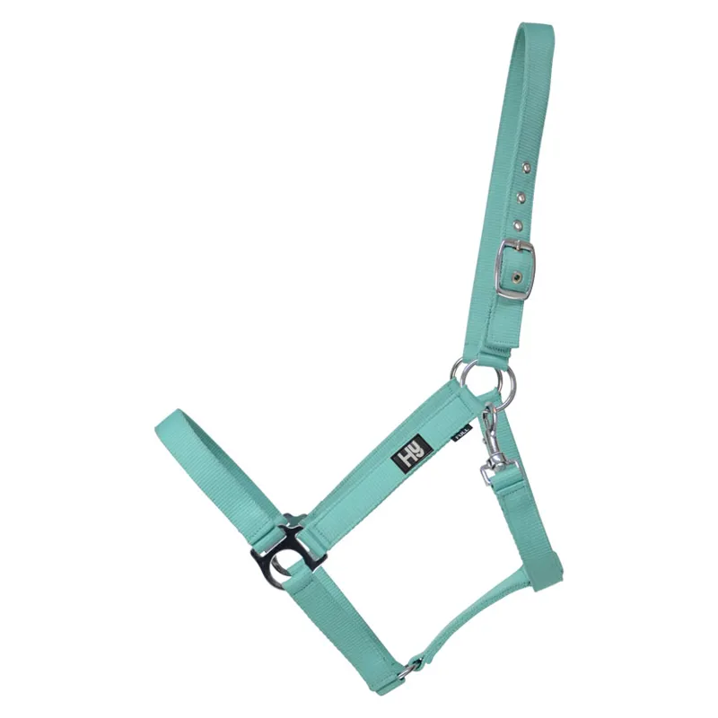 Hy Economy Plus Head Collar - - Teal pony