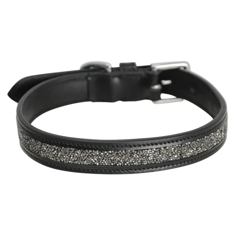 Hy Encrusted Dog Collar in Black