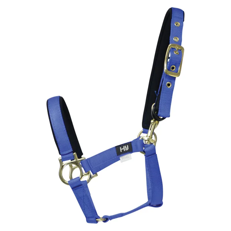 Hy Equestrian Fieldsafe Small Pony/Foal Head Collar in Royal Blue