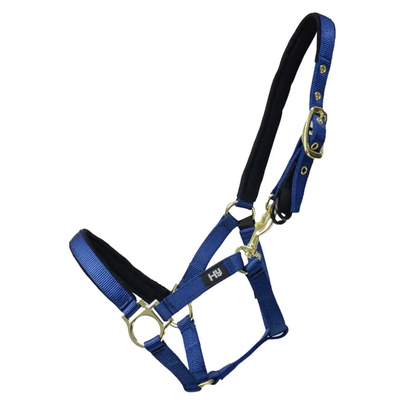 Hy Equestrian Fieldsafe Small Pony/Foal Head Collar in Navy