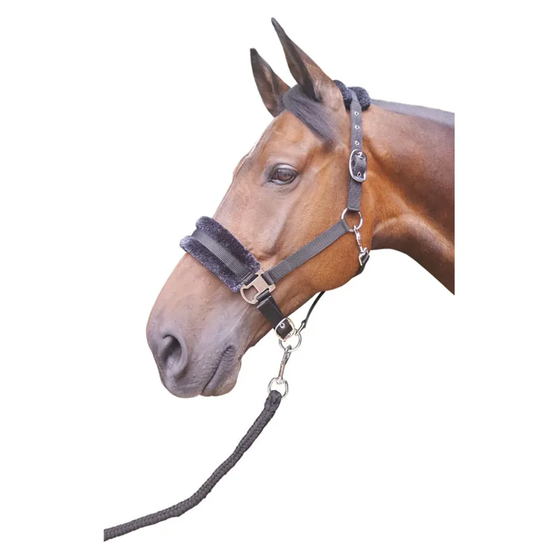 Hy Faux Fur Padded Head Collar With Lead Rope in Black