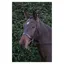 Hy Hunter Bridle With Rubber Grip Reins in Black