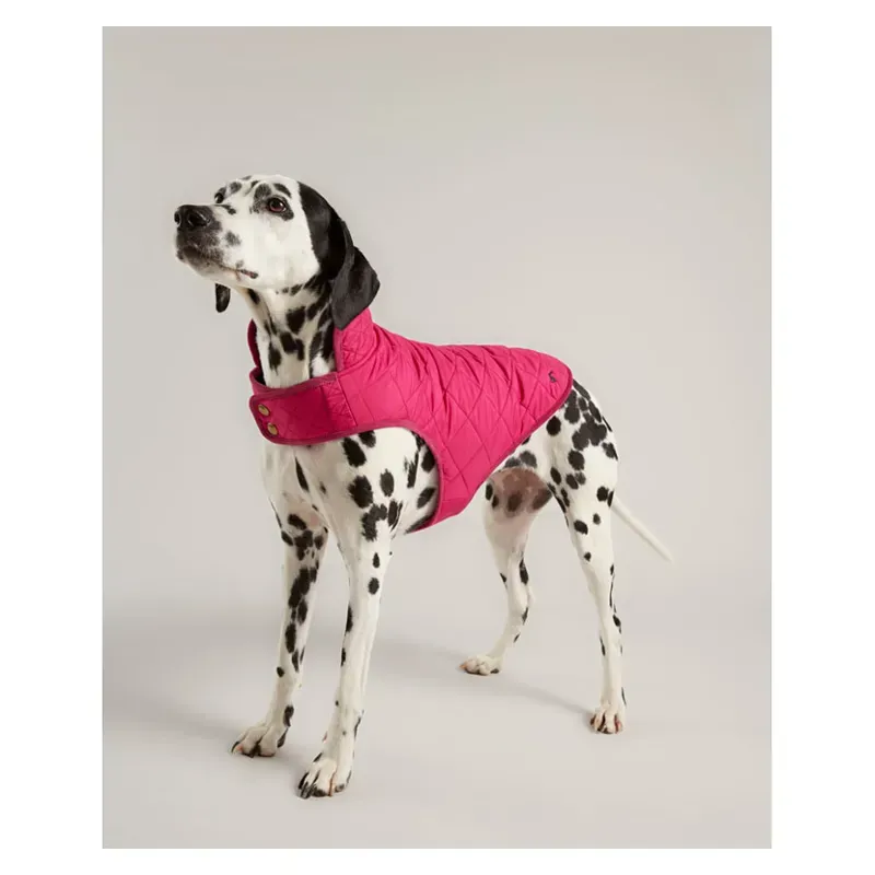 Joules Quilted Dog Coat in Raspberry