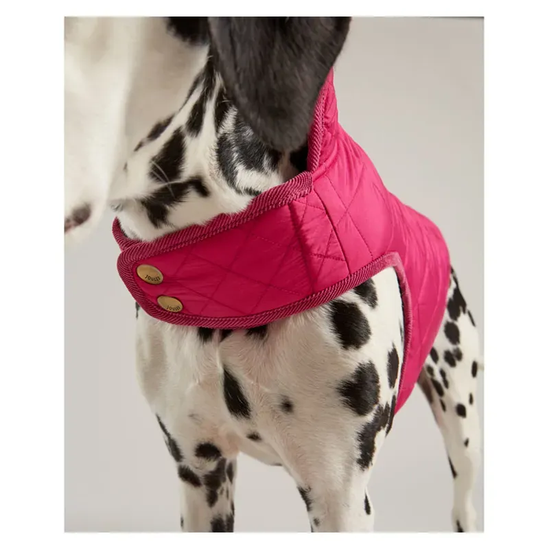 Joules Quilted Dog Coat in Raspberry-2