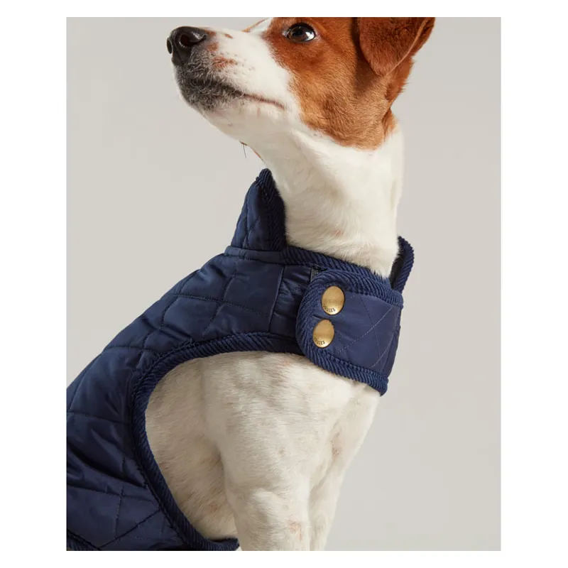 Joules Quilted Dog Coat in Blue-2