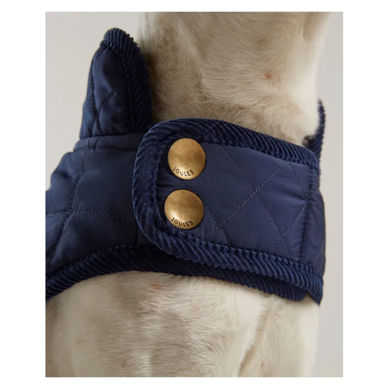 Joules Quilted Dog Coat in Blue-4