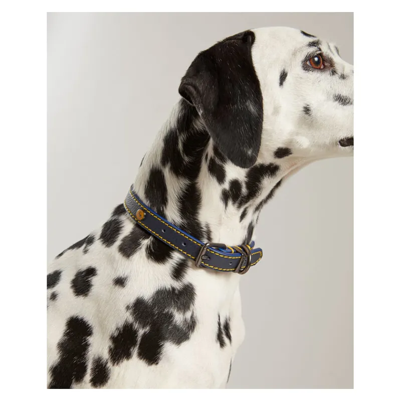 Joules Leather Dog Collar in Navy