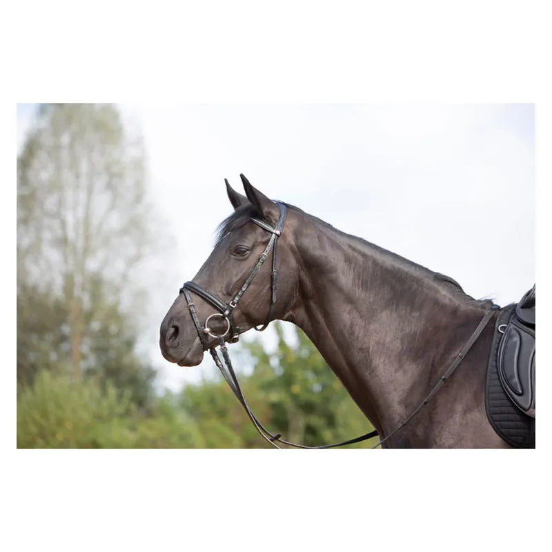 Kieffer Ultrasoft Snaffle Bridle in Brown-1