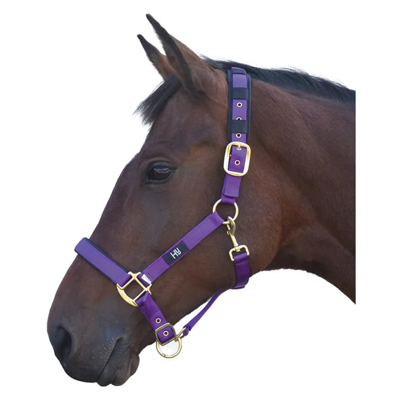 Hy Deluxe Padded Head Collar in Purple