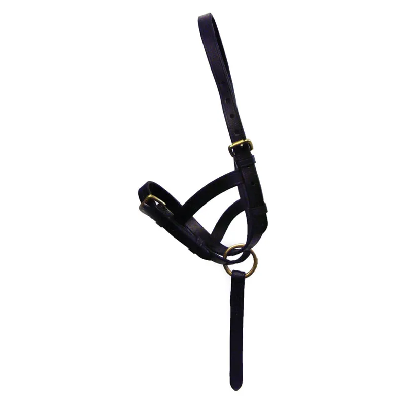 Hy Leather Foal Slip in Black