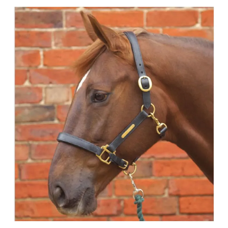 Hy Equestrian Leather Head Collar in Black