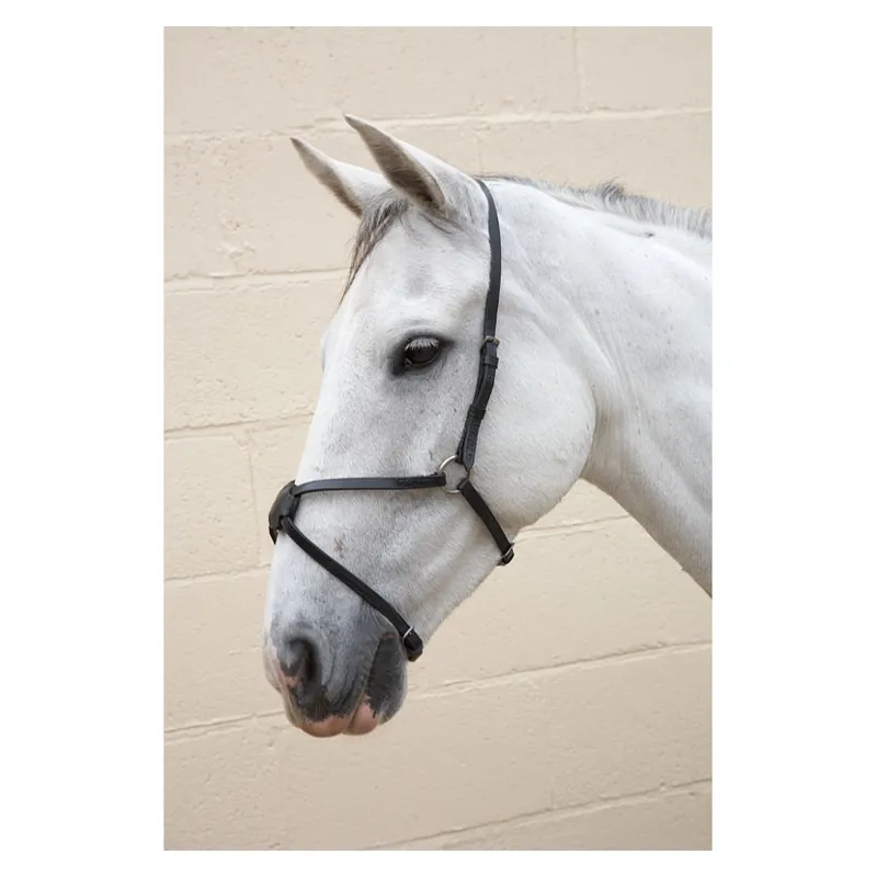 Hy Mexican Grackle Nose Band in Black