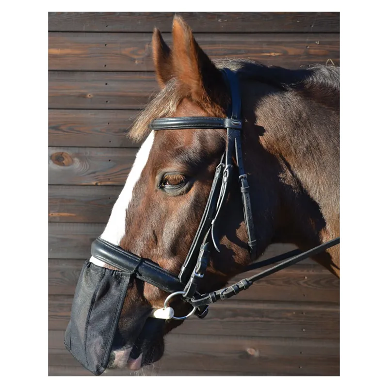 Hy Equestrian Nose Shield in Black