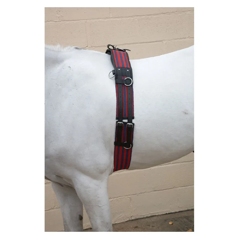 Hy Training Roller in Blue/Red