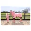 Supreme Products Dotty Fleece Rug in Pretty Pink