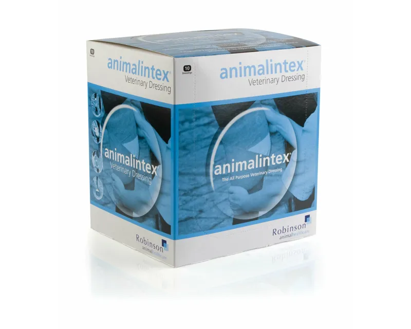 Robinson 1 x 40g Animalintex