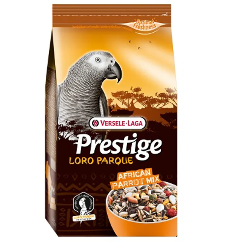 VL African Parrot Prestige Loro