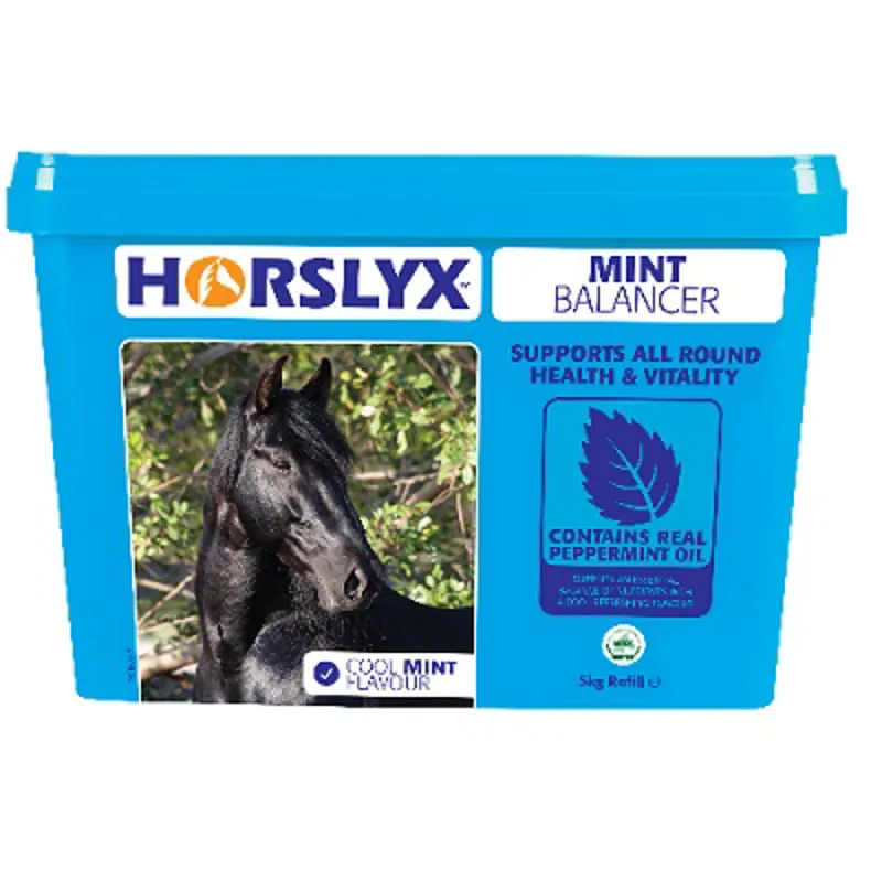 Horslyx Mint Stable Lick Refill 5kg