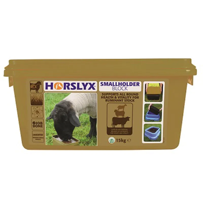 Horslyx Small Holder Block 15kg
