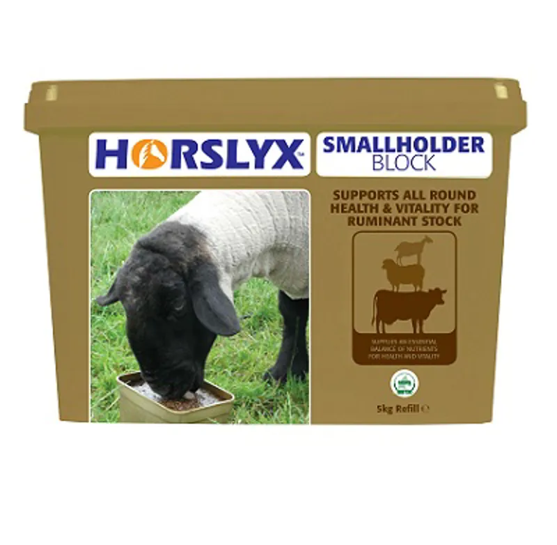 Horslyx Small Holder Block 5kg