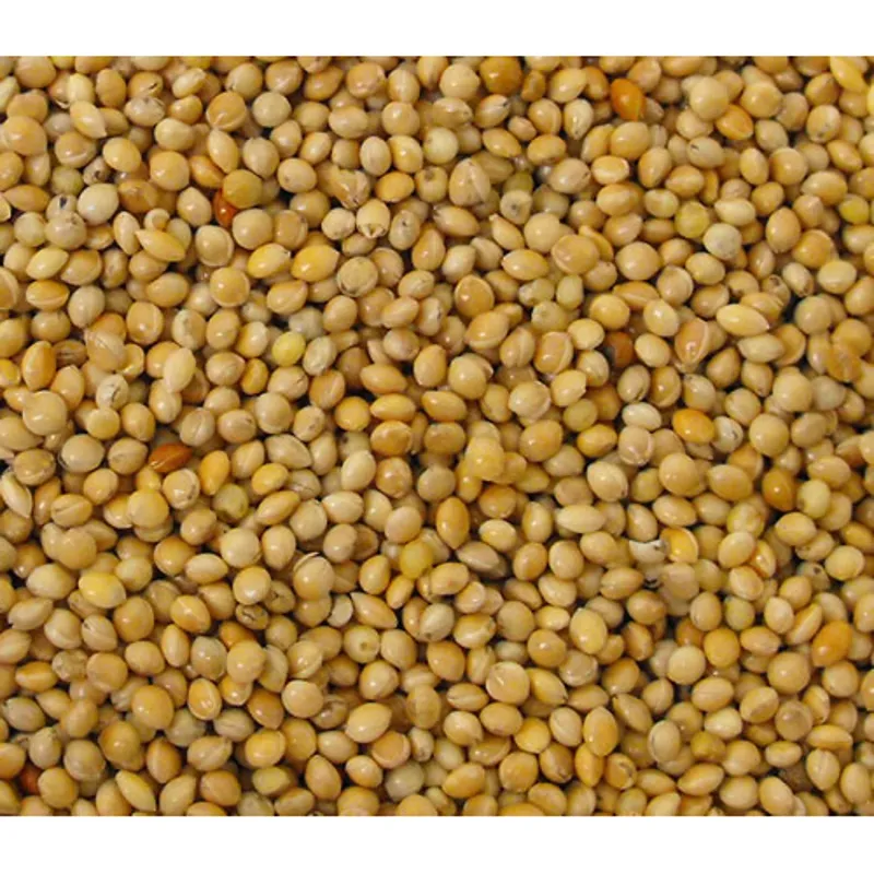 VL Milletseed Yellow 25 kg