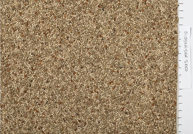 JJ Budgerigar Seed 3 kg