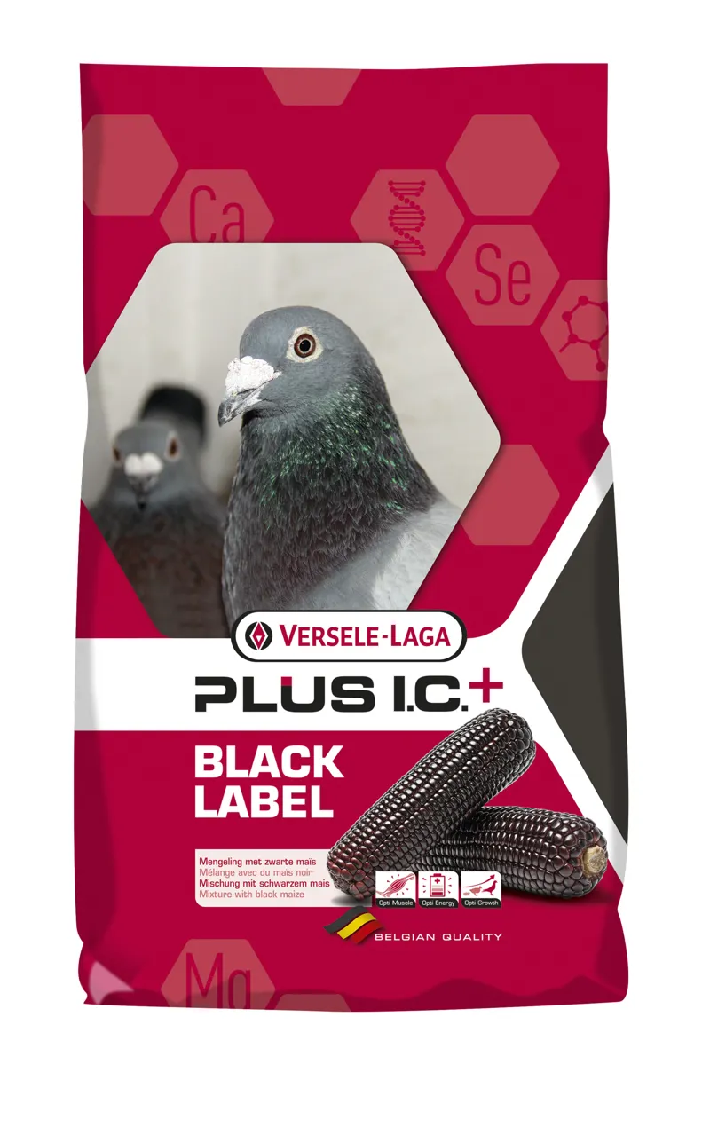 VL Mutine Plus I.C. Black